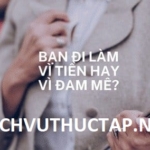 Bạn đi làm vì tiền hay vì đam mê