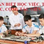 Phân biệt học việc, thử việc và cộng tác viên