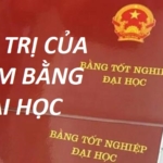 Giá trị của tấm bằng đại học