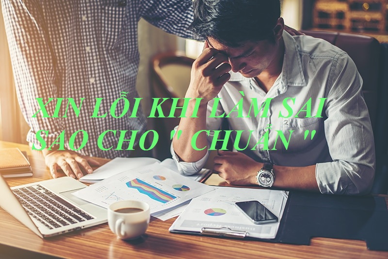 Làm sai khi đi thực tập thì xin lỗi sao cho chuẩn
