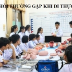 Tổng hợp những câu hỏi thường gặp lần đầu đi thực tập