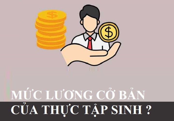Mức lương cơ bản của thực tập sinh là bao nhiêu ?