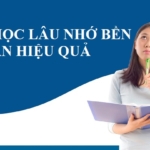 MẸO HỌC LÂU NHỚ BỀN MÀ KHÔNG TỐN THÊM TÍ NÀO CÔNG SỨC