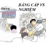 Bằng Cấp VS Kinh Nghiệm: Cái nào quan trọng hơn ?