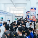 Thực tập ngay từ năm ba, nên hay không ?