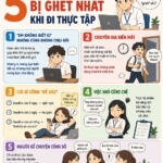 5 Kiểu Sinh Viên Bị Ghét Nhất Khi Đi Thực Tập