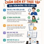 Giảng viên thường chấm điểm kỳ thực tập trên yếu tố nào ?