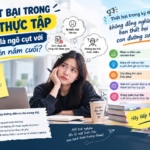 Thất bại trong kỳ thực tập có phải là ngõ cụt với sinh viên năm cuối